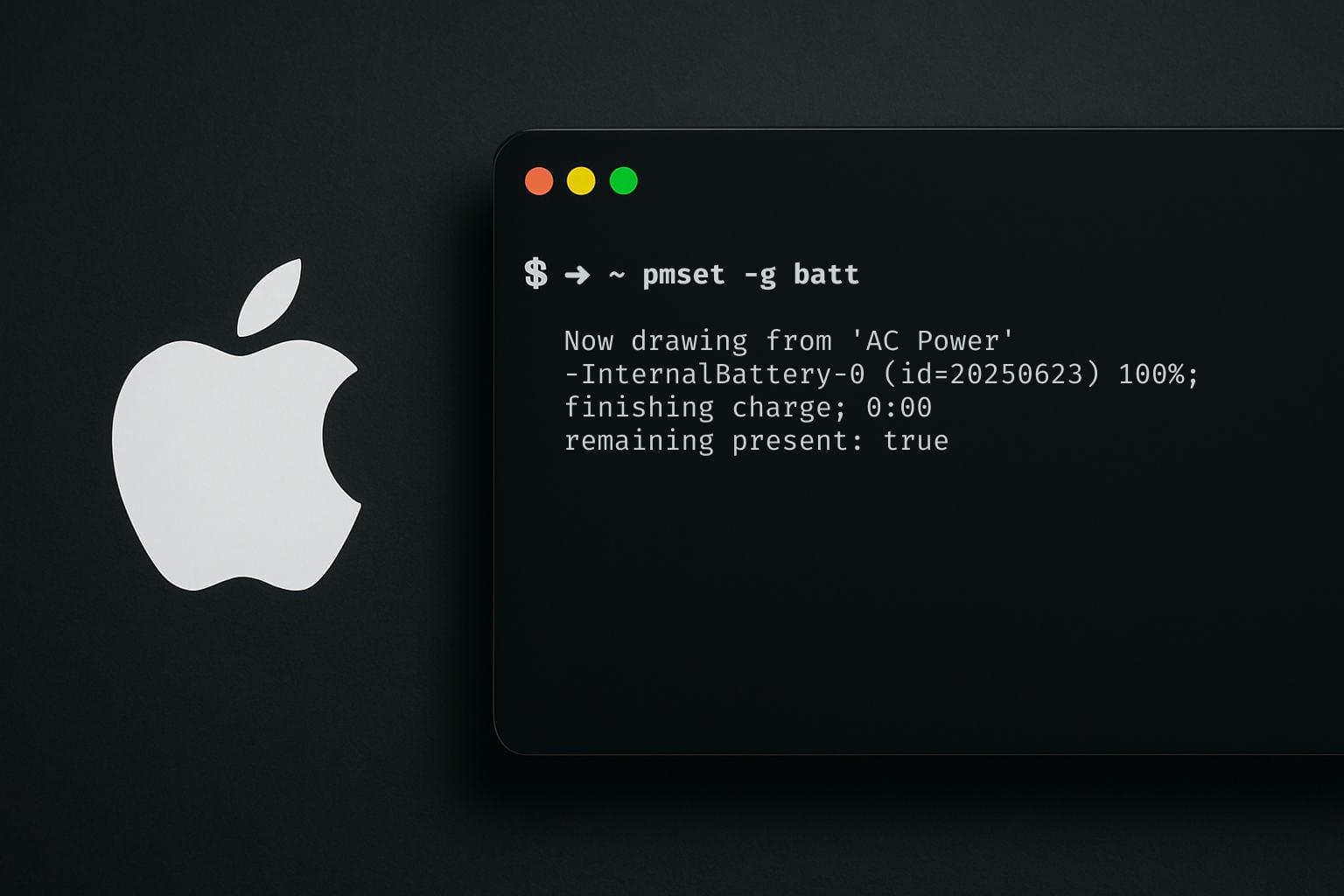 Boost Your Workflow: The macOS Terminal Cheat Sheet That Matters