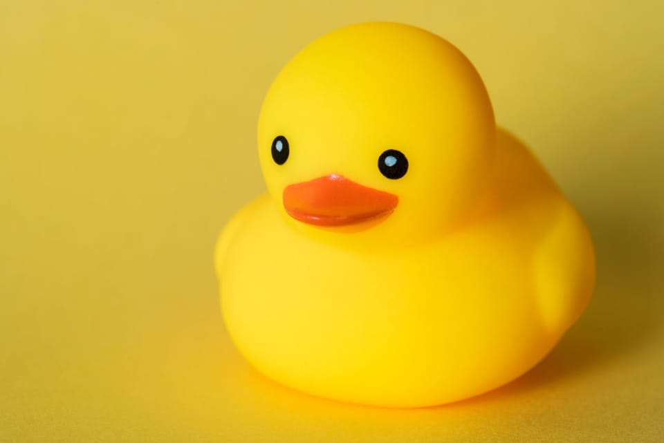 Rubber Duck Debugging: The Ultimate Solution to Debugging Code